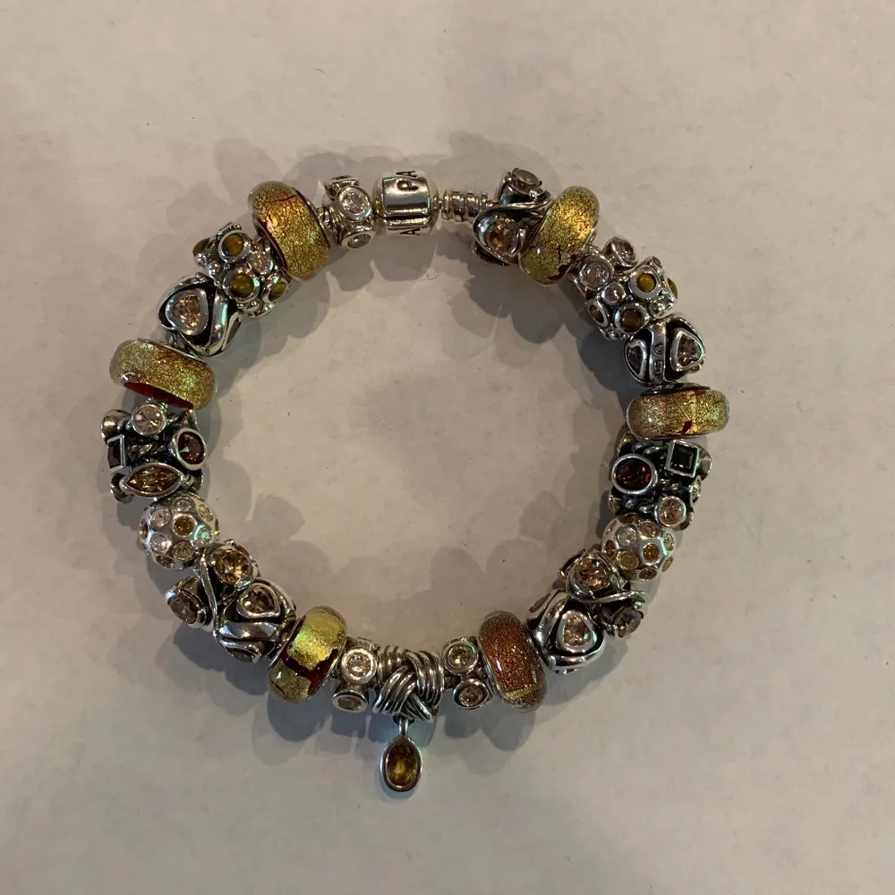 Pandora 8 inch Silver Charm Bracelet with 24 charms
